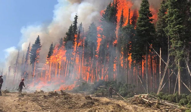 The number of B.C. wildfires grows but rain and cool weather are on the way