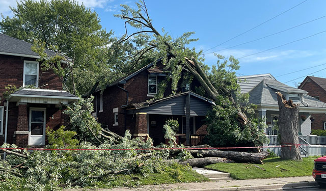 Severe weather knocks down trees, shuts off power for thousands