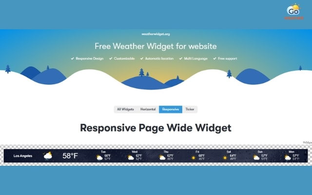 Weatherwidget is often a choice for lightweight websites