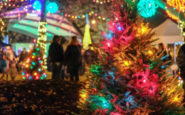 December to Remember Event at Kzoo Parks was cancelled