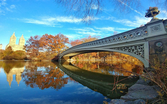  Autumn in NYC