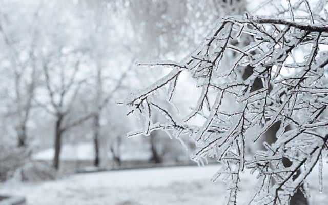  Winter in Missouri