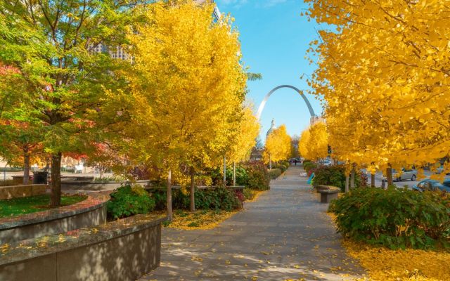  Autumn in Missouri