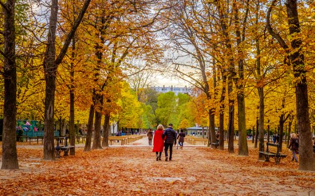  Autumn in Paris