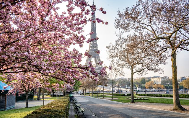  Spring in Paris