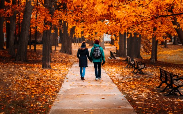  Autumn in Toronto