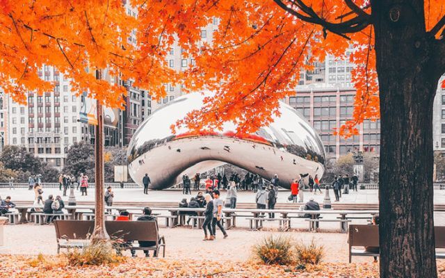  Autumn in Chicago