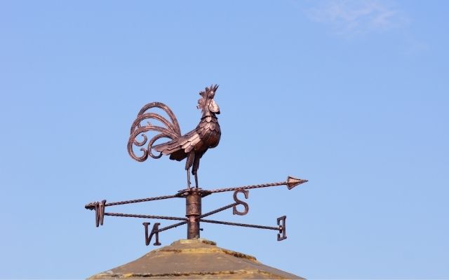  The wind vane