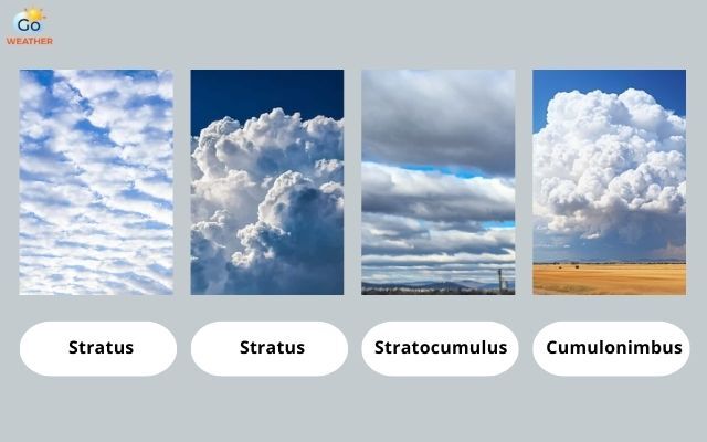  Types of low-level clouds