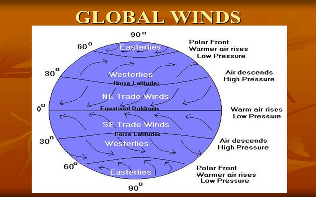  What are the type of winds?