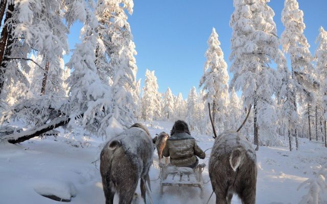 December, January, and February are the coldest months in Oymyakon