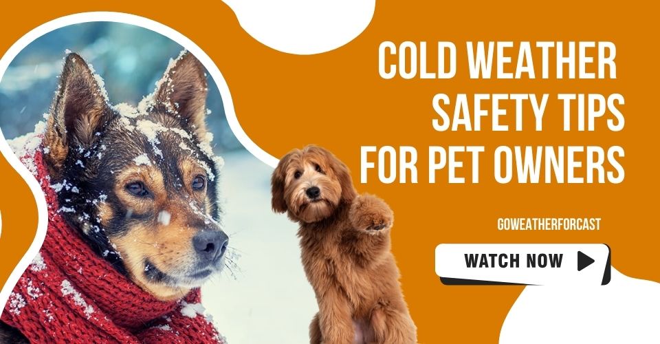  Cold weather safety for pets