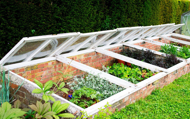  Build a cold frame