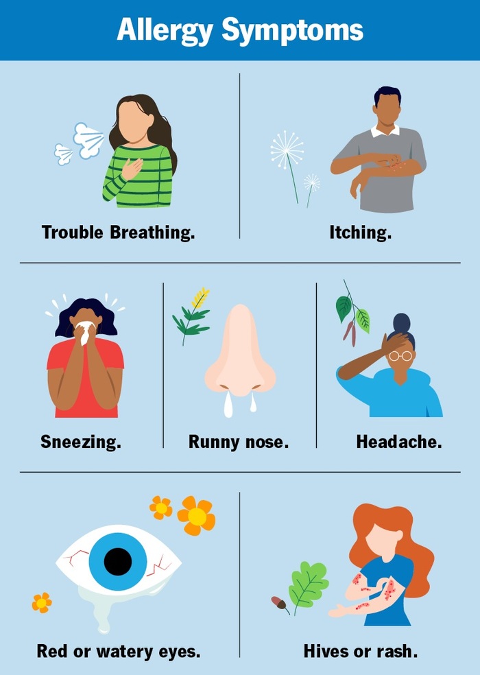  Common signs you have allergies