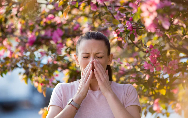  What causes seasonal allergies?