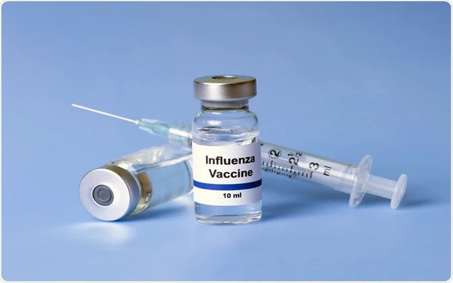  Get a flu vaccine