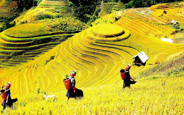  The beauty of northern Vietnam on an autumn day