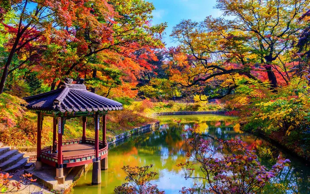  Autumn time in the northern part of Asia