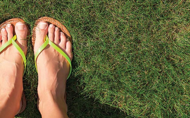  Flip-flops are not for trekking