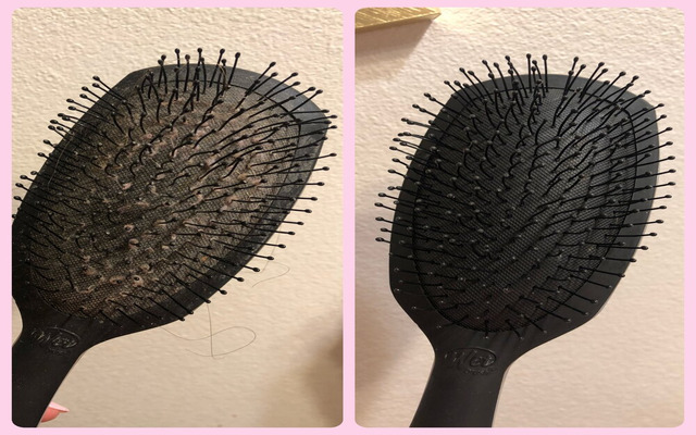  Remember to clean your brush