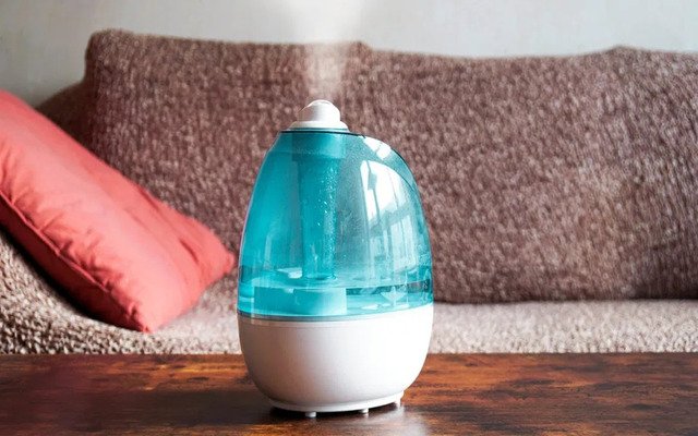  Use the thermostat or mist humidifier