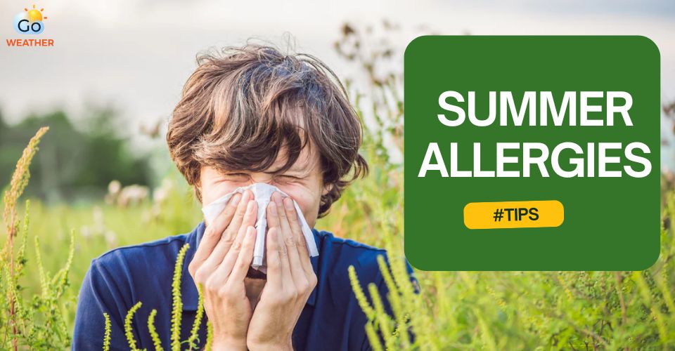  How to stop summer allergies?