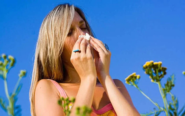  What causes summer allergies?