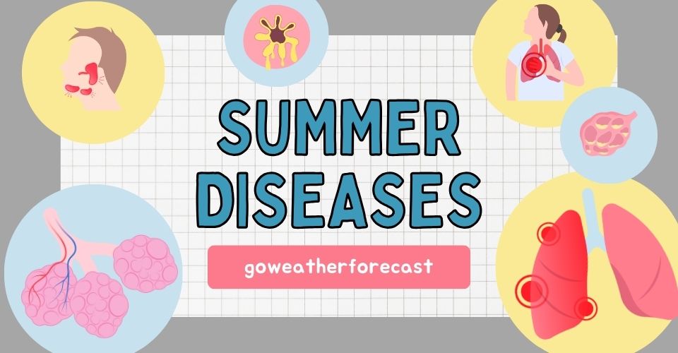  Most common diseases in summer season