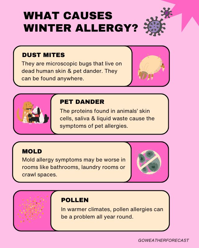  Common winter allergy symptoms