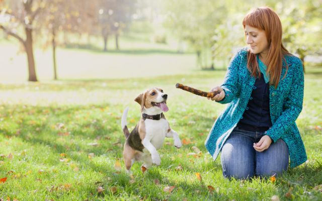  Minimize pet allergy triggers