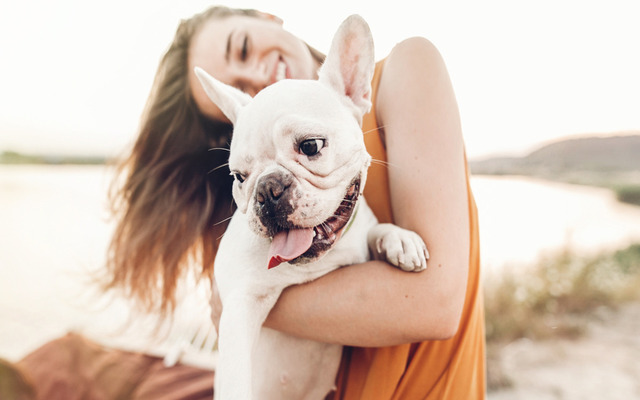  Your dogs may get sunburned easily