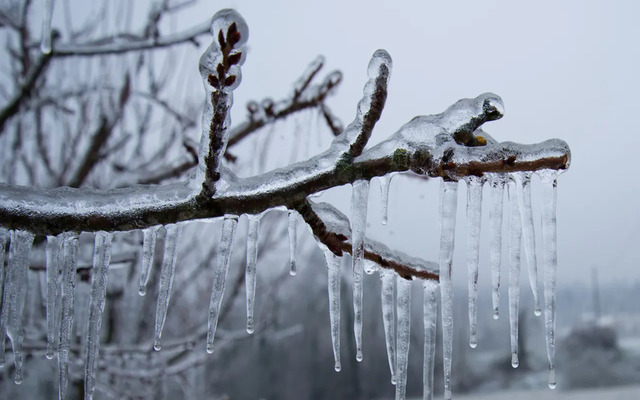  Freezing rain is another type of precipitation