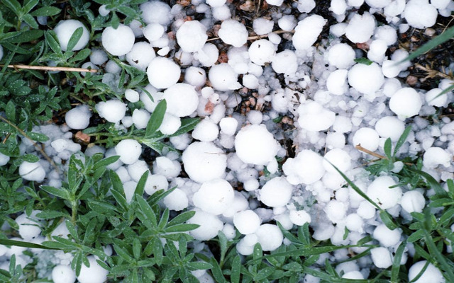  Hail is generally associated with summer weather conditions and thunderstorms