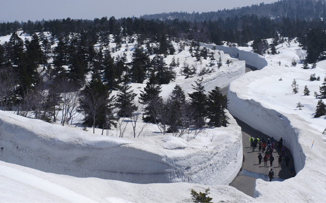  Aomori receives an average of 26 feet of snowfall every year