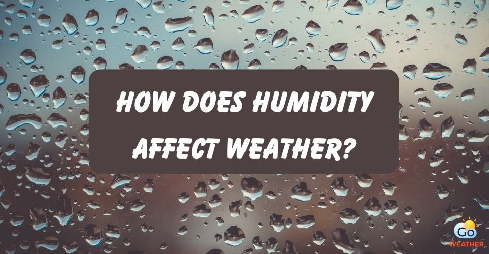 How does humidity affect the weather?