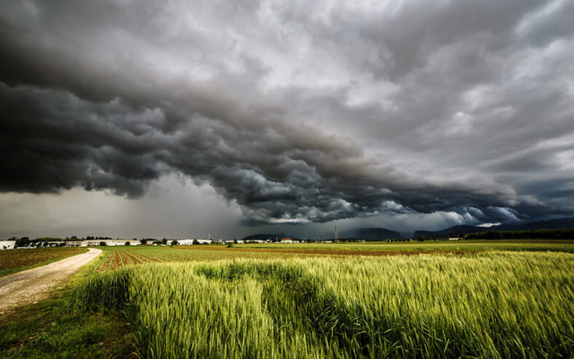  The importance of weather forecasting for agriculture