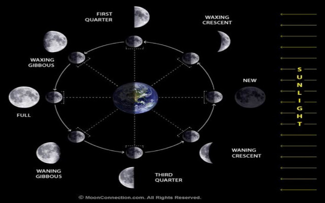  8 major phases of the Moon