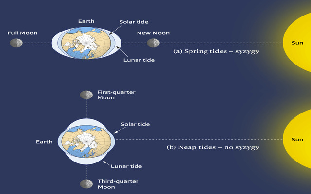  Spring tides vs neap tides