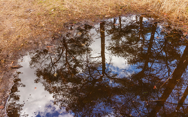  Shoot puddle reflections