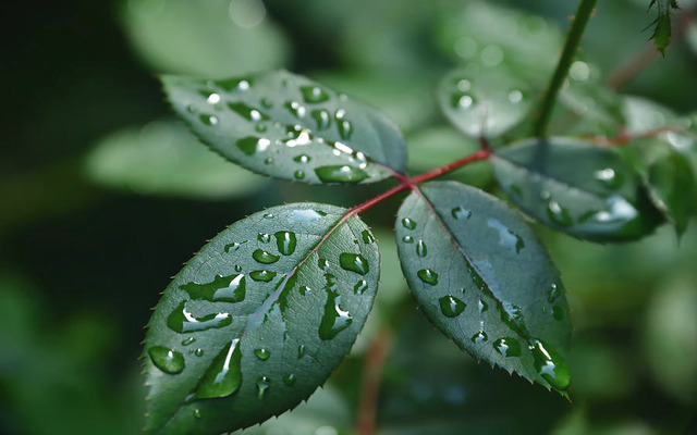  Make the most of the rain