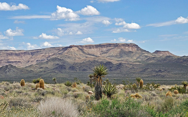  There are arid and semi-arid zones