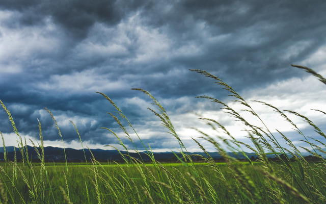  Air pressure is one of the main factors determining wind direction