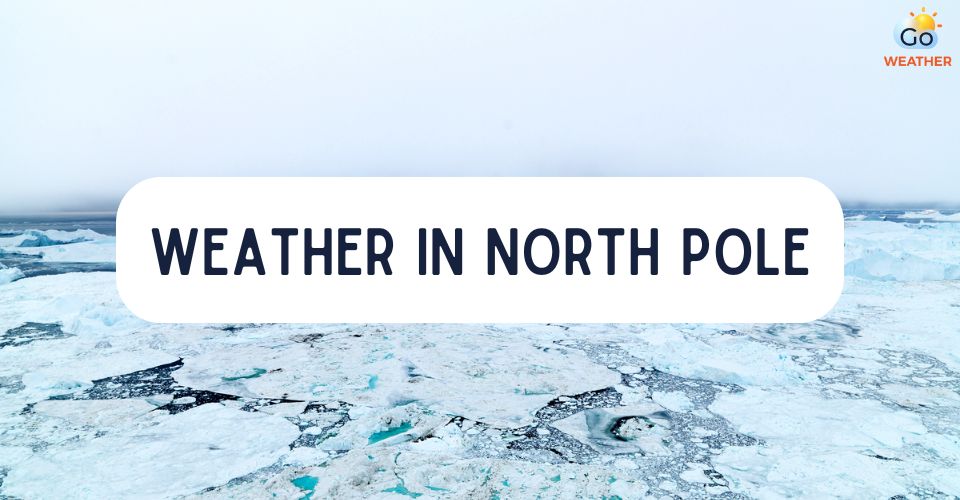 What is the weather like in the North Pole?