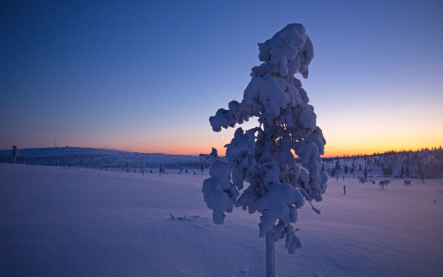  Climate in the Arctic