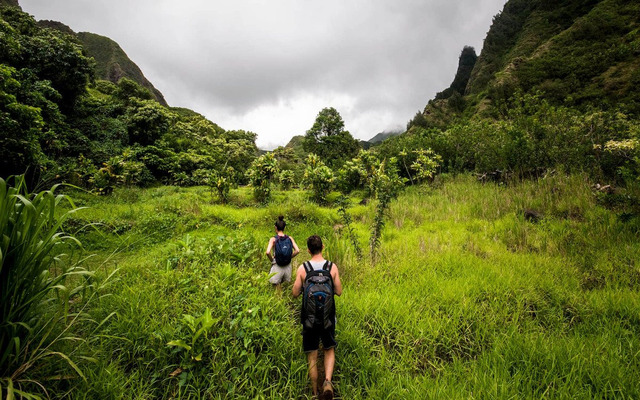  Big Bog, Hawaii