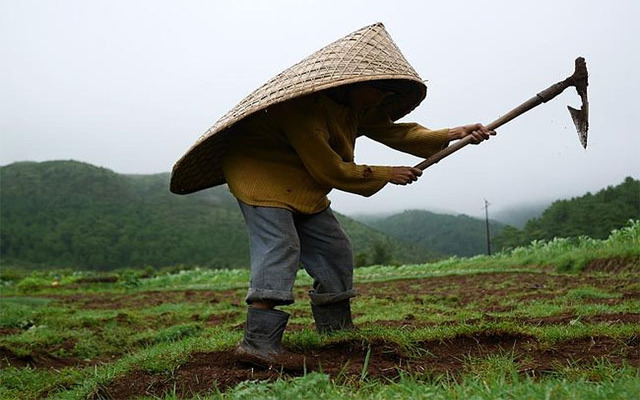 “Knup” functions as an umbrella, though it doesn’t look like a regular umbrella