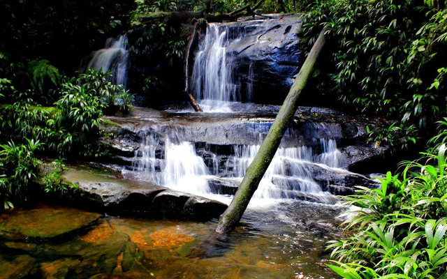  Tutunendo, Colombia