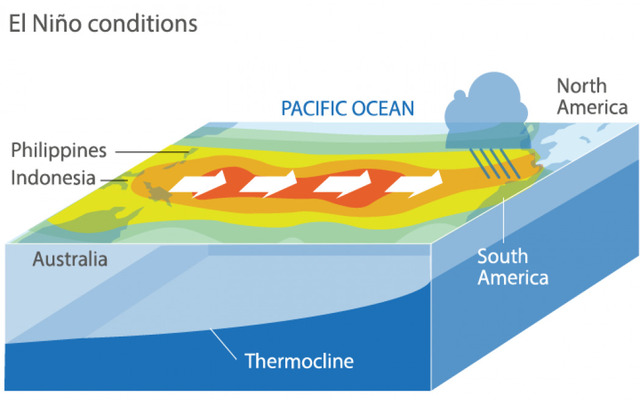  What causes El Nino?