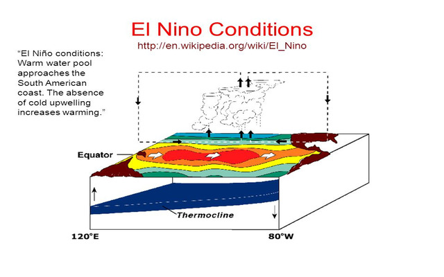  The trade winds were weaker in the central and eastern Pacific regions