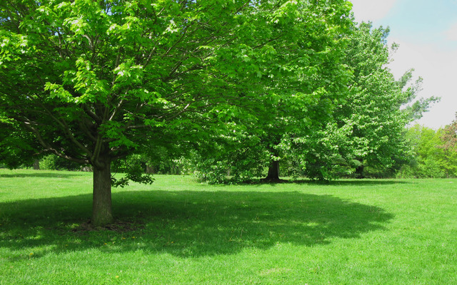  Finding some shade is so important for you and your camera